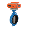 Motorised Butterfly Valve 2